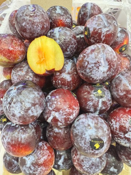 智利-紫蜜李10顆 