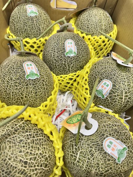 脆甜極光-卡密拉瓜（單顆1.2kg左右） 