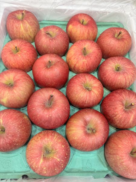 日本40規格-蜜富士蘋果5入 