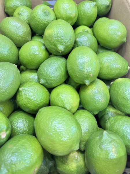 屏東-中顆檸檬2斤裝 