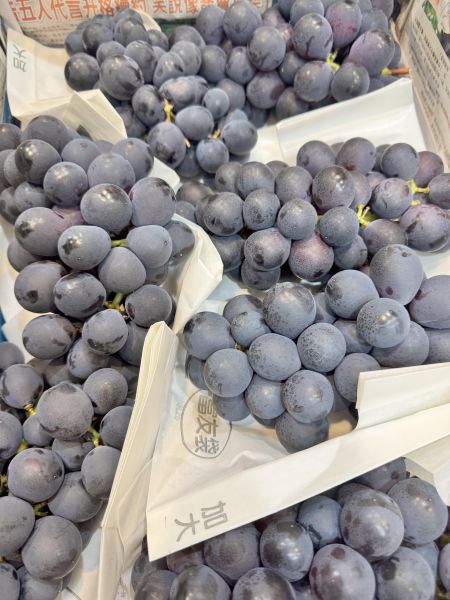 甜-溫室巨峰葡萄一斤裝 