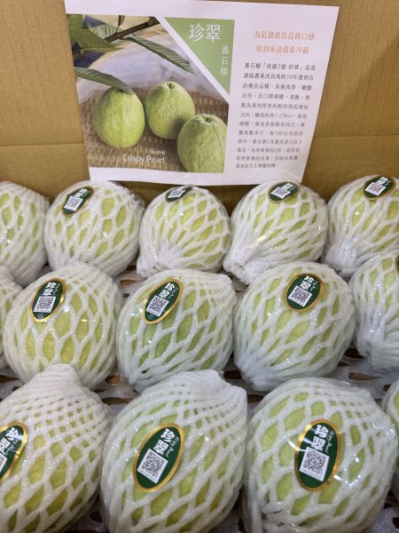 13規格-珍翠芭樂4入 