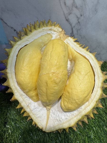 699元越南-小黑刺榴槤 