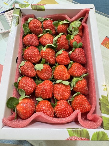 大湖草莓の香水美姬 