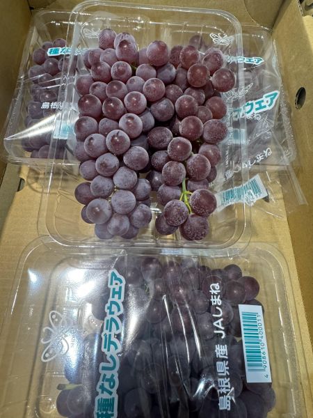 日本-珍珠香檳葡萄（單盒含盒重300g) 