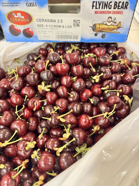 華盛頓北極熊9.5R櫻桃（黑珍珠品種） 