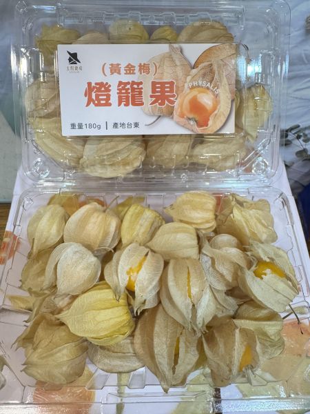 台東-燈籠果（盒裝190g) 
