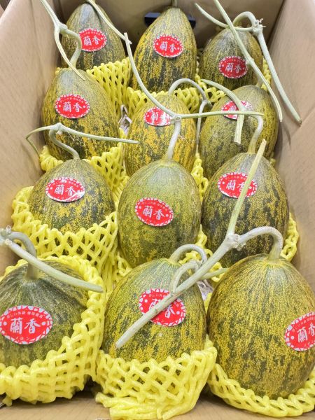 香甜-蘭香哈密瓜（單顆約1公斤重） 