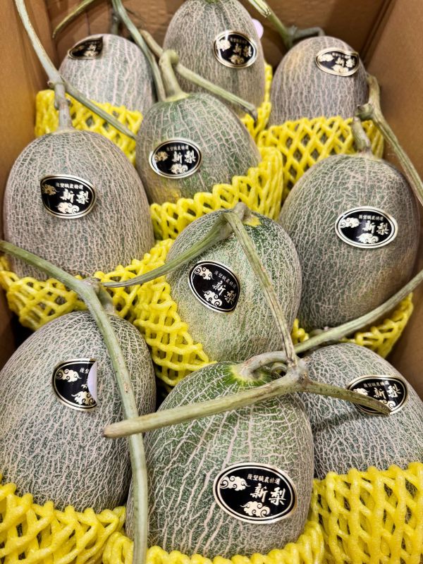 新梨-卡蜜拉瓜（單顆約1.2公斤） 