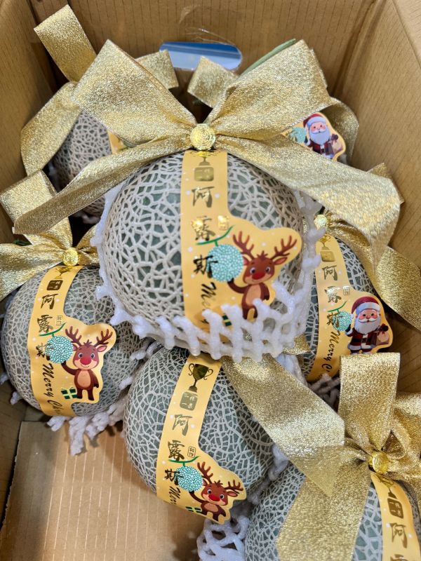 聖誕版溫室阿露斯-綠肉哈密瓜（單顆約1.1kg) 