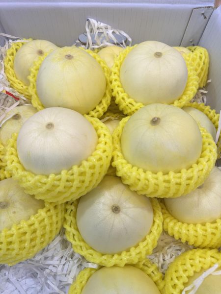 溫室-15規格甜吊瓜3入(單顆約400g) 