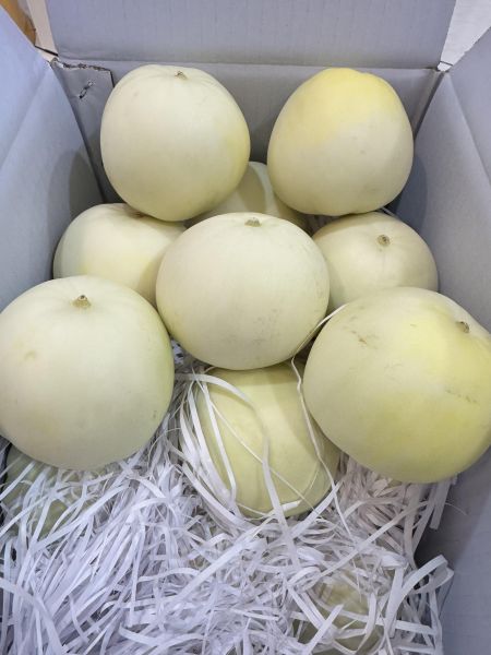 白玉美濃香瓜5顆（單顆390g) 