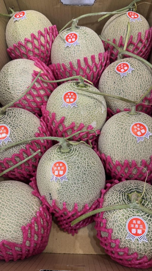 香華綠肉哈密瓜（單顆約900g） 