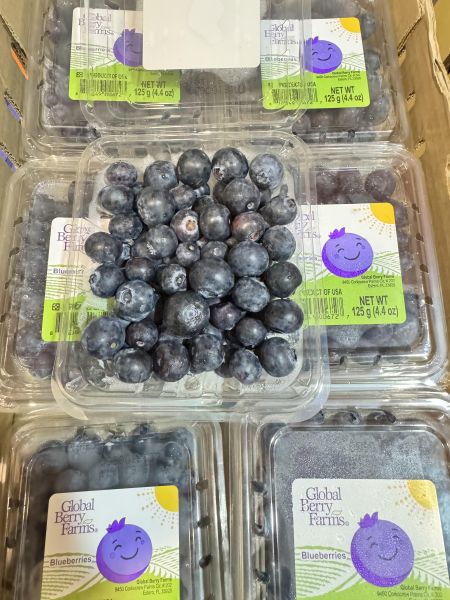 美國空運-盒裝藍莓125g（一盒裝） 