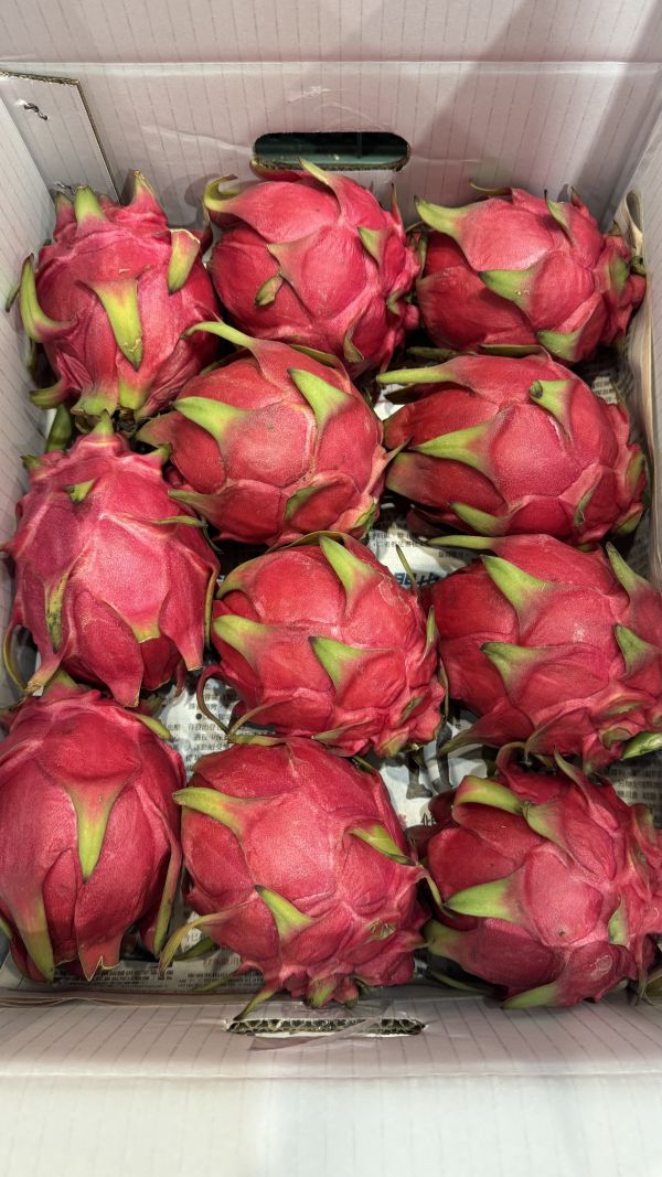 瑞穗-10規格紅肉火龍果3入 