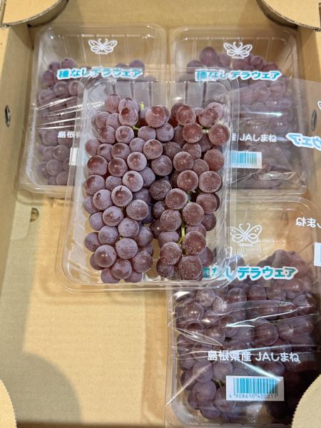 日本-珍珠香檳葡萄（單盒含盒重300g) 