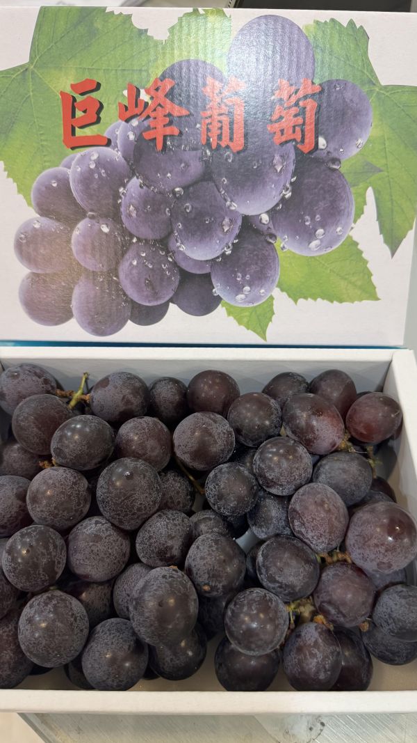 甜-溫室巨峰葡萄一斤裝 