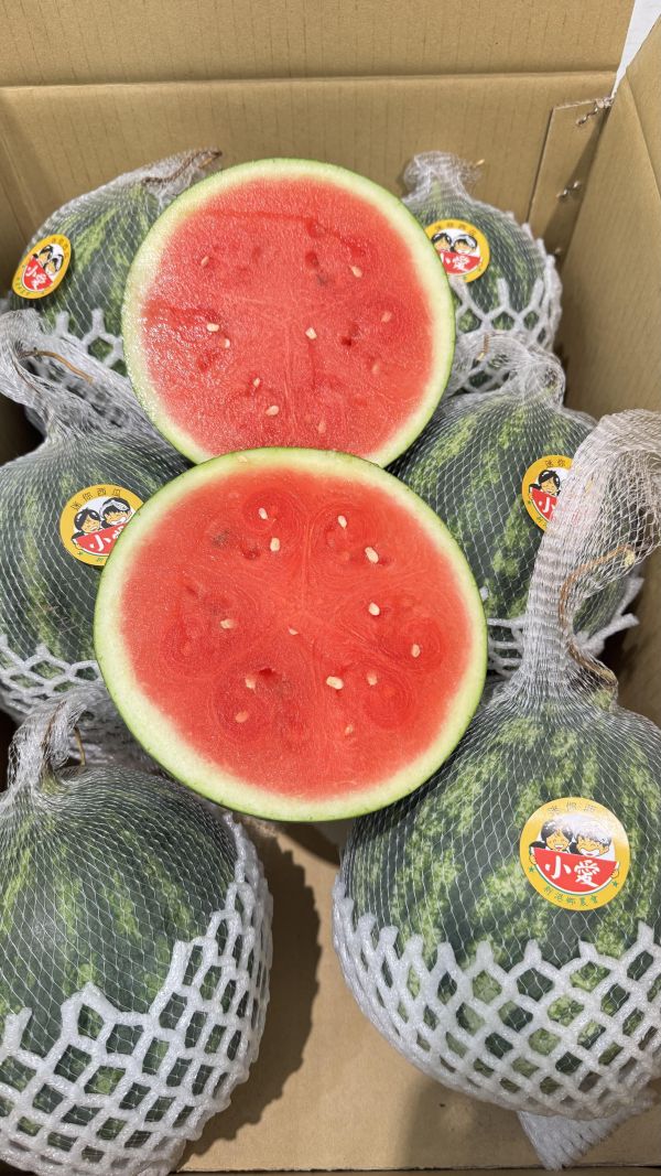 無籽-小愛紅肉西瓜(單顆約1.5公斤) 