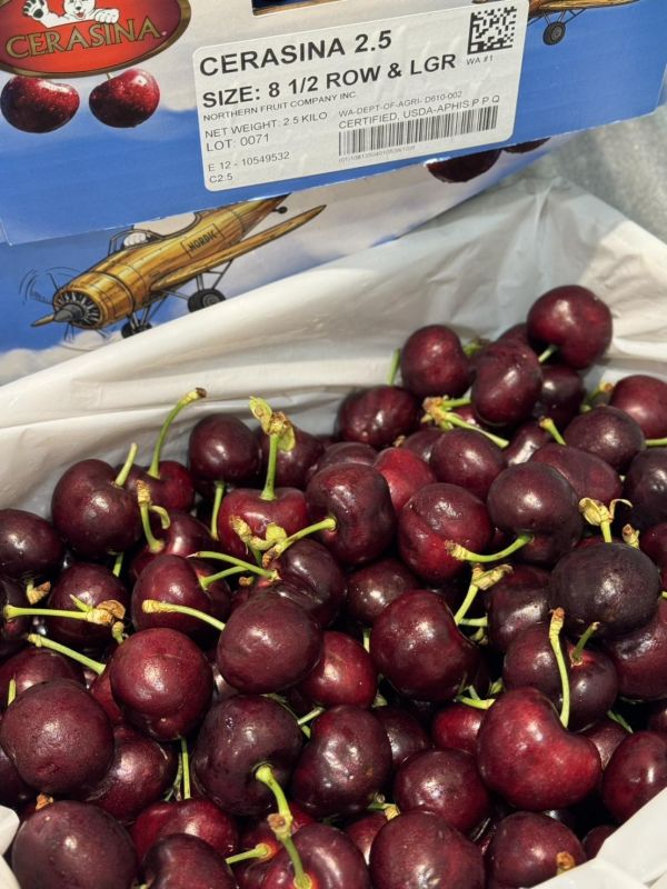 華盛頓北極熊9.5R櫻桃（黑珍珠品種） 