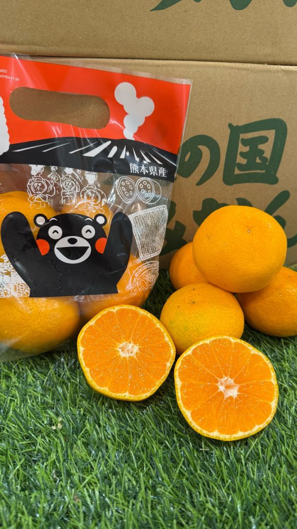 超好吃日本熊本-蜜柑(袋裝一公斤） 
