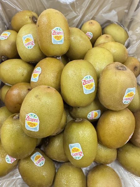 紐西蘭-黃金奇異果 