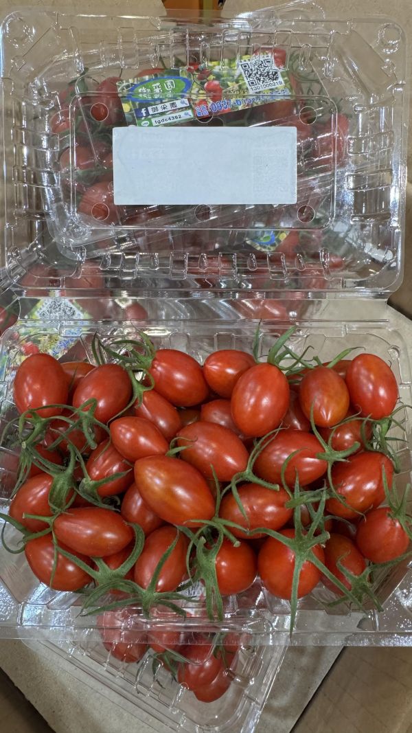 皮薄包甜高山-玉女小番茄 