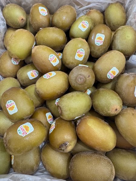 紐西蘭33規格-黃金奇異果8入 