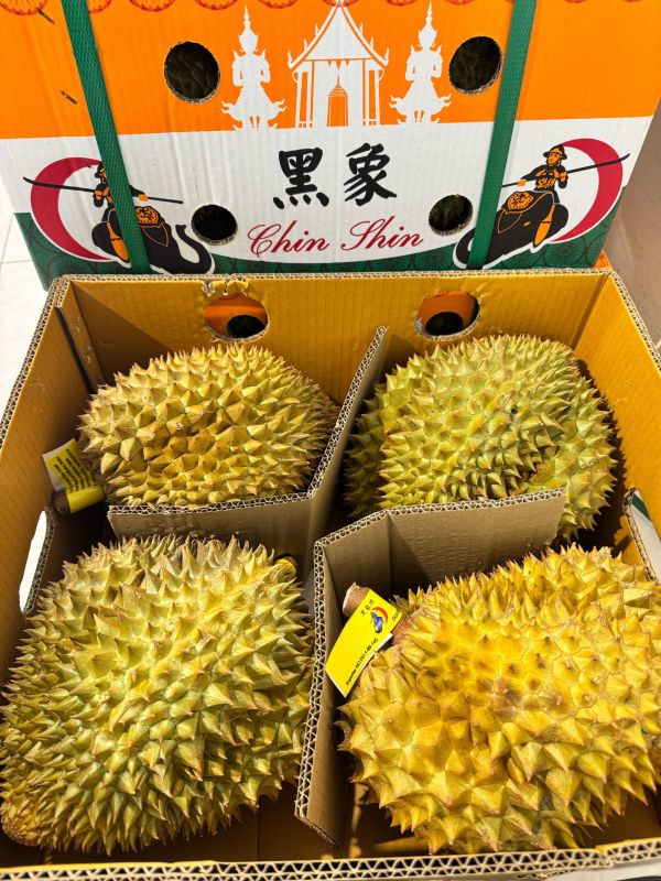 泰國聖火-金枕頭榴槤 