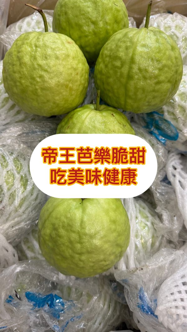硬脆-帝王芭樂4入 