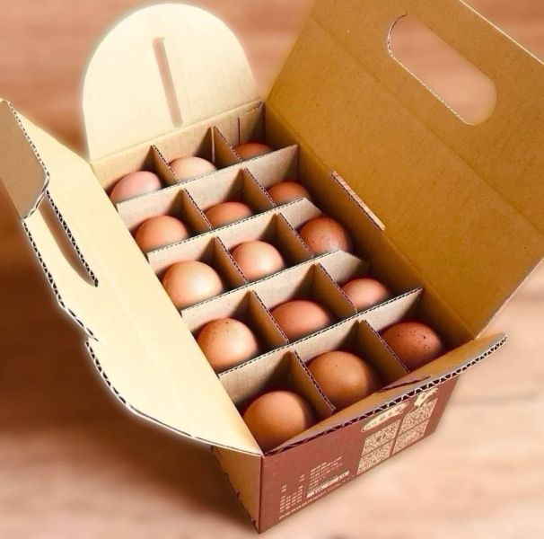 (無贈品)須搭水果外送-土雞蛋3斤裝(無贈品) 