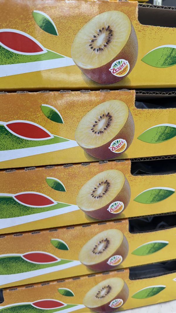 紐西蘭-黃金奇異果 