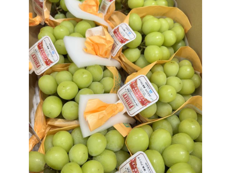 日本長野8規格-麝香葡萄（單串580-650g) 