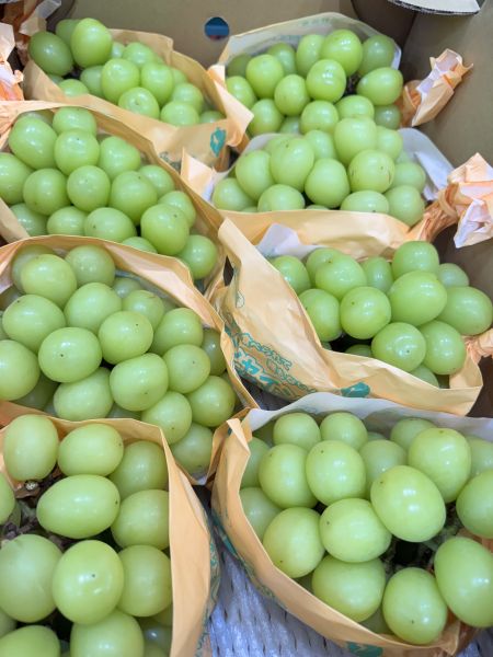 日本長野8規格-麝香葡萄（單串580-650g) 