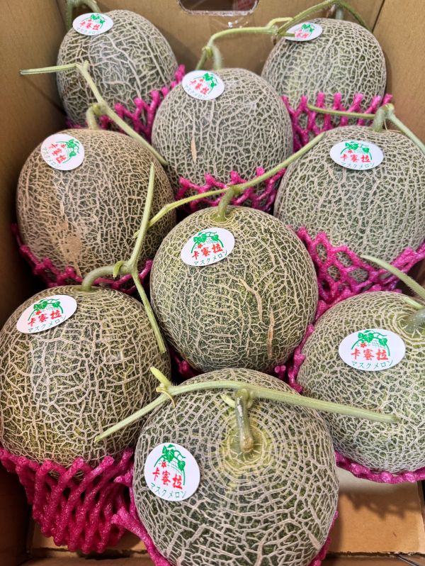 脆甜極光-卡密拉瓜（單顆1.2kg左右） 