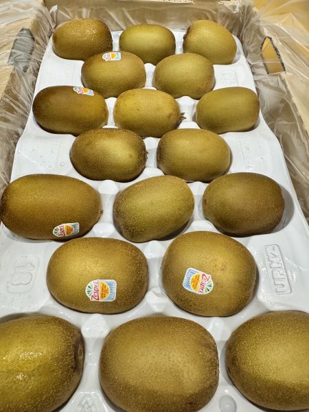 紐西蘭33規格-袋裝黃金奇異果8入 