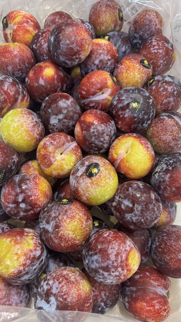 智利-紫蜜李10顆 