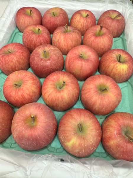 日本40規格-蜜富士蘋果5入 