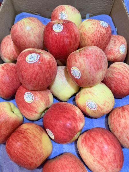 美國100規格水蜜桃蘋果8入 