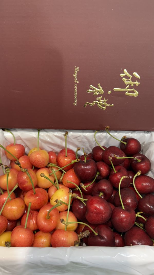 智利大顆雙色櫻桃（白紅3JD) 