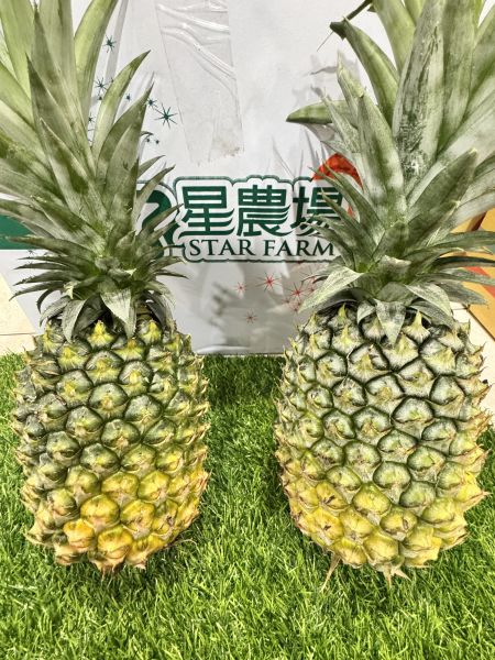 星農場-蜜梨鳳梨 