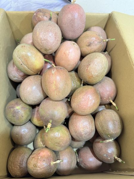 名牌富坤-紫星百香果（桂花味）2斤 