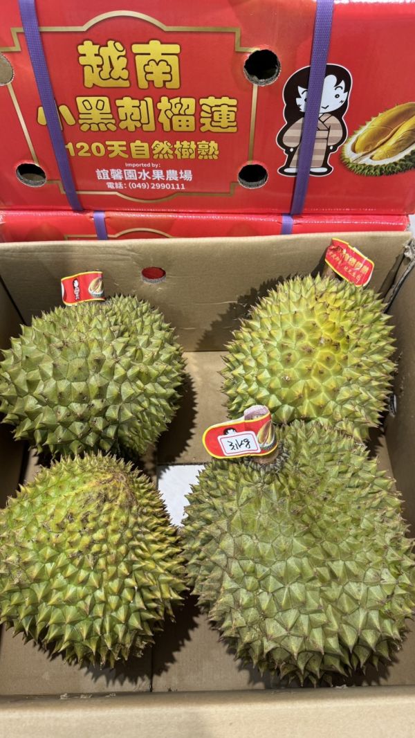 699元越南-小黑刺榴槤 