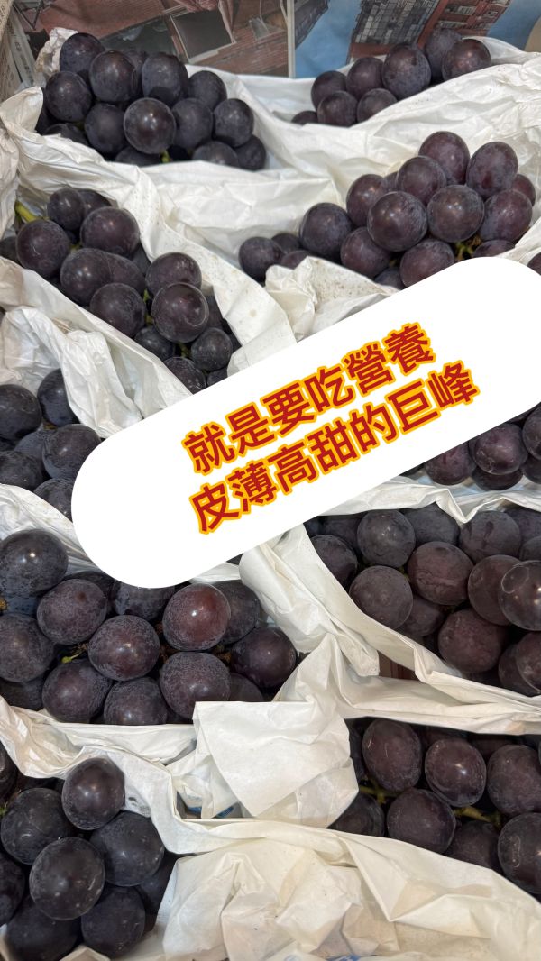 白毛台高等級-巨峰葡萄袋裝(480g) 