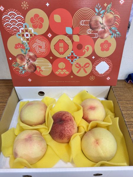 399元梨山上海蜜水蜜桃-盒裝大5顆裝 