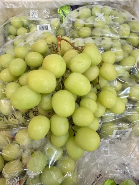 脆甜秘魯-3J秋脆葡萄 