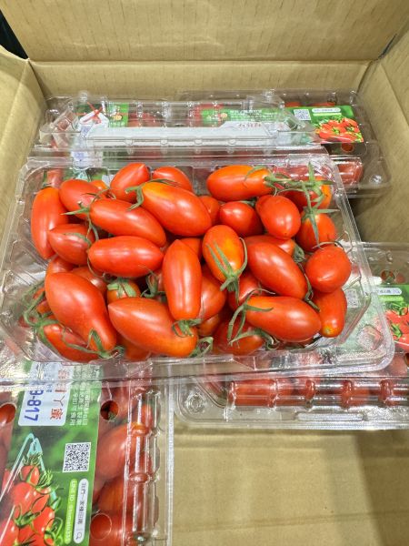 皮薄包甜高山-玉女小番茄 