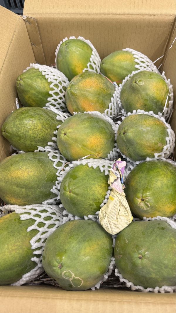 甜度高20規-日昇中木瓜2顆 