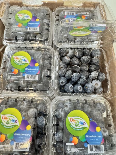 秘魯-盒裝藍莓125g 