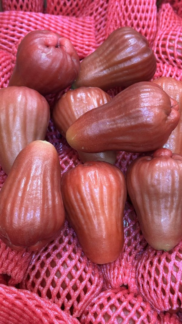 精品套袋甜-黑糖芭比蓮霧2斤 