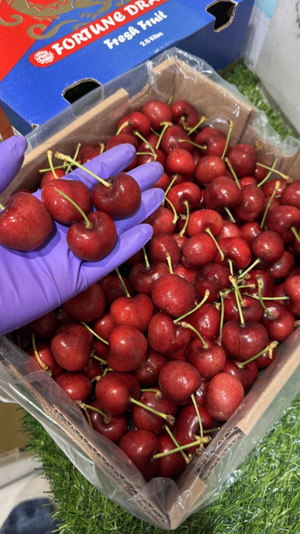 智利-脆甜3JD櫻桃(脆甜Santina) 